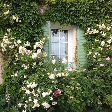 Le Clos Du Galion - Ile De Re 호텔 Saint-Martin-de-Ré